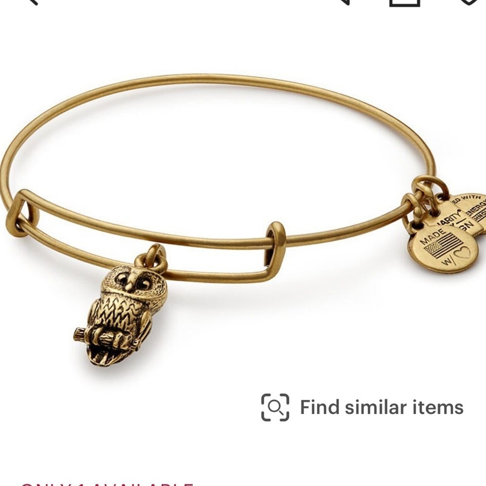 Alex and Ani, RARE Rafaellian gold owl, expandable bangle